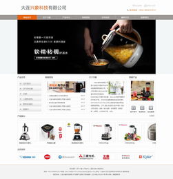 大連新圖聞科技 專業(yè)網(wǎng)站建設與制作服務解析